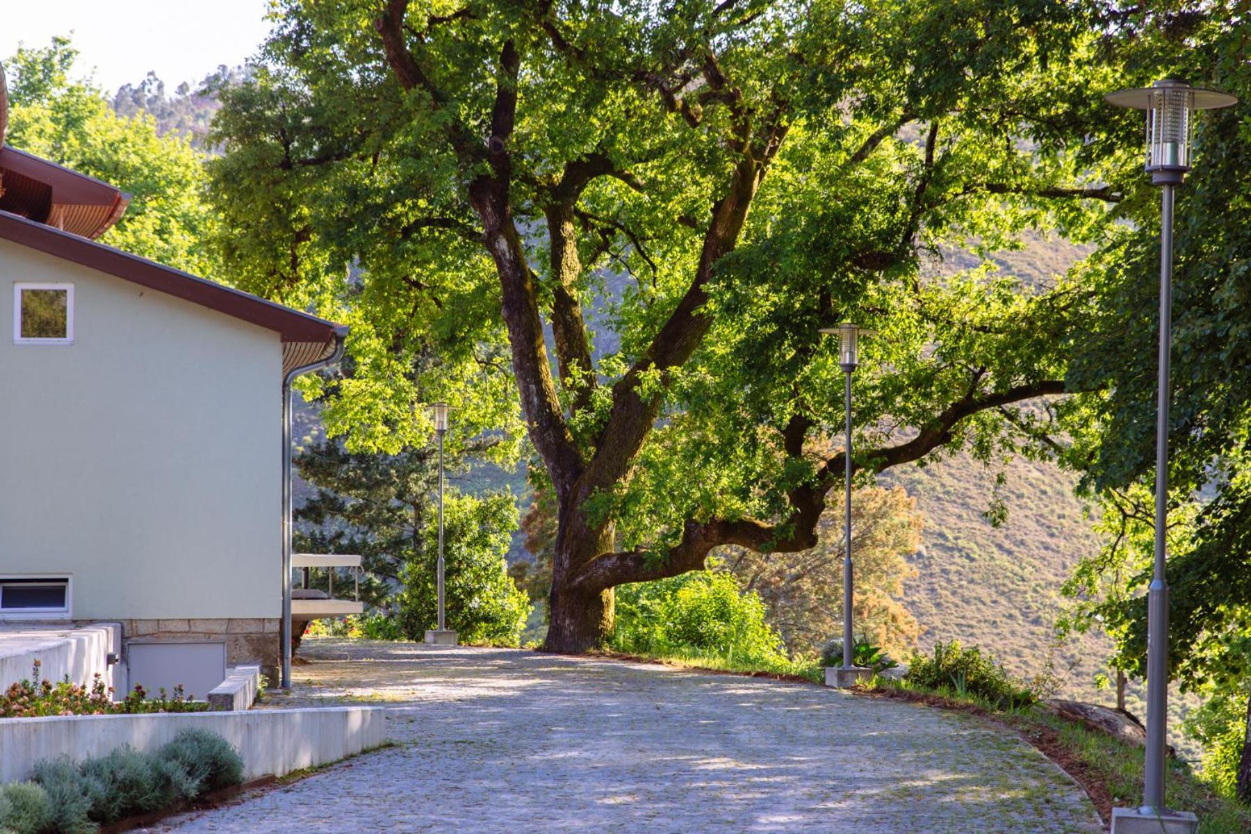 Hotel Rural Misarela Vườn quốc gia Peneda-Gerês Ngoại thất bức ảnh