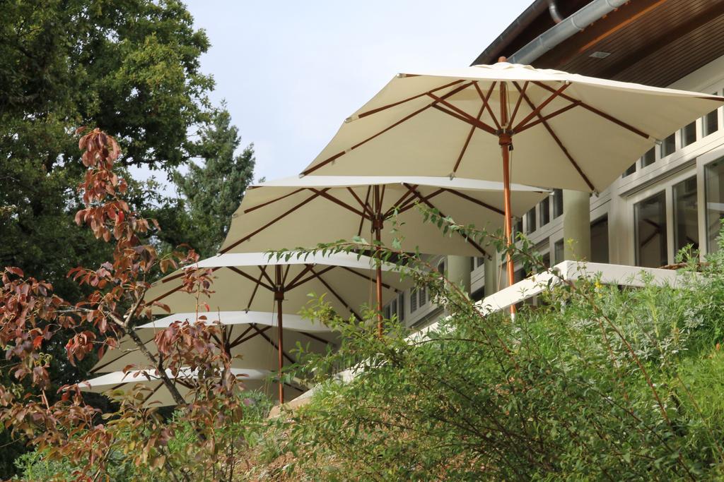 Hotel Rural Misarela Vườn quốc gia Peneda-Gerês Ngoại thất bức ảnh